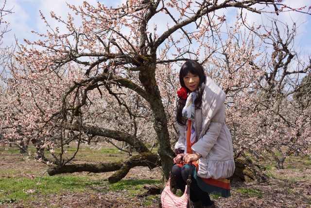 竹野ひろこさん
