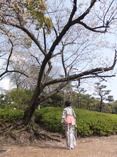 みえの はるなさん