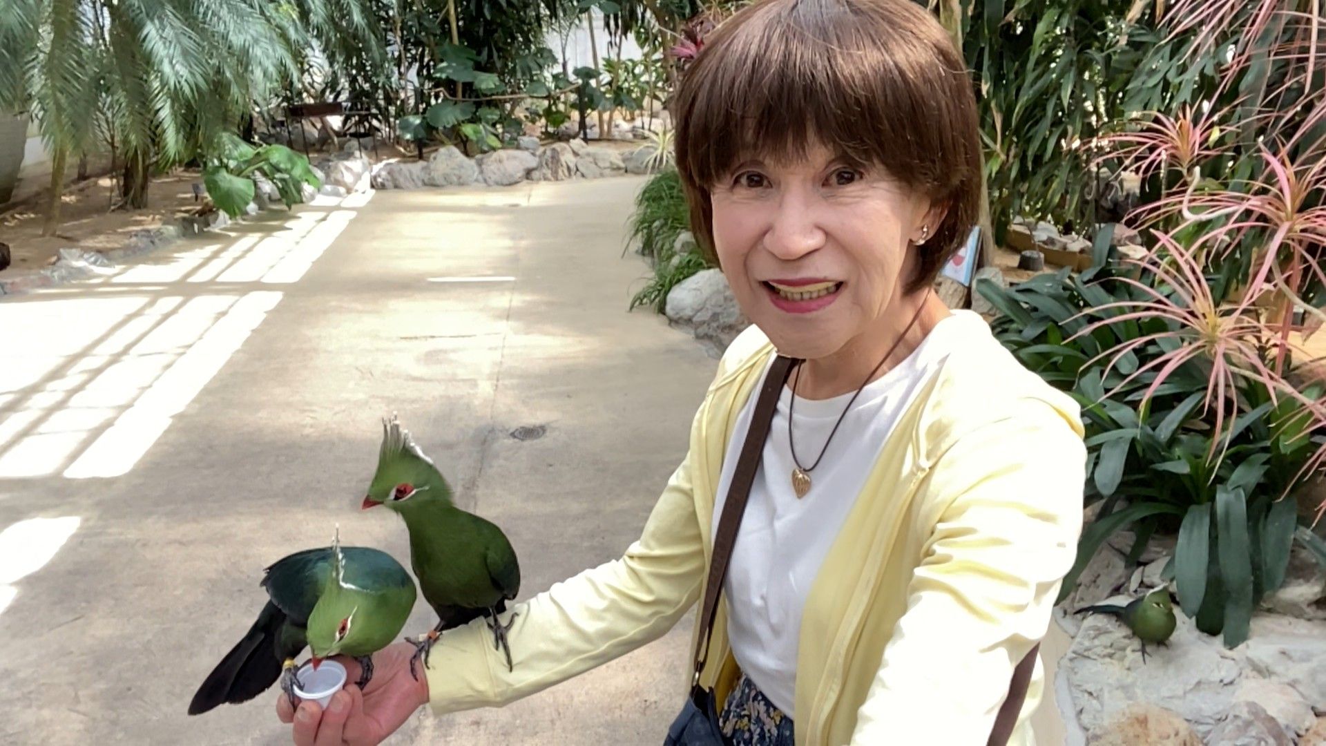 真理子さん