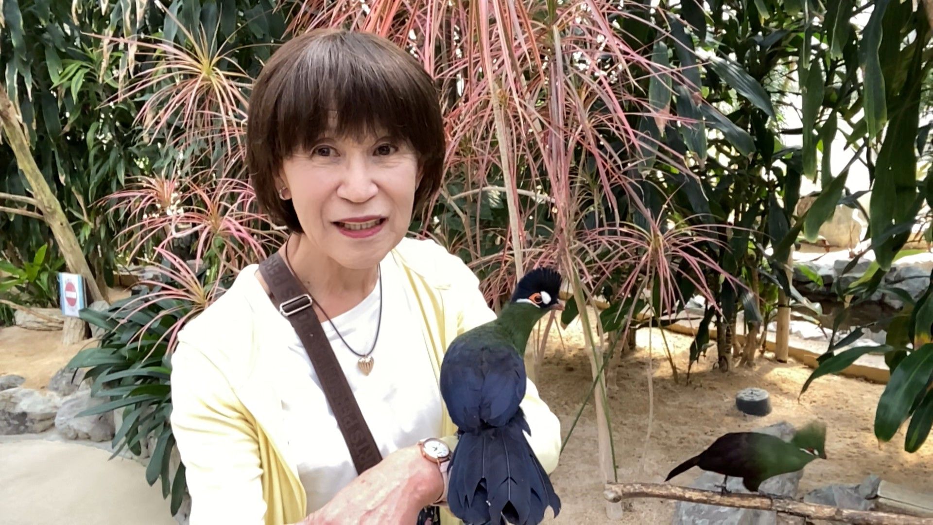 真理子さん