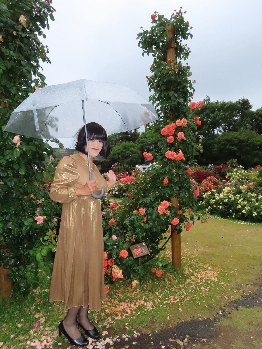 ゆきこさん