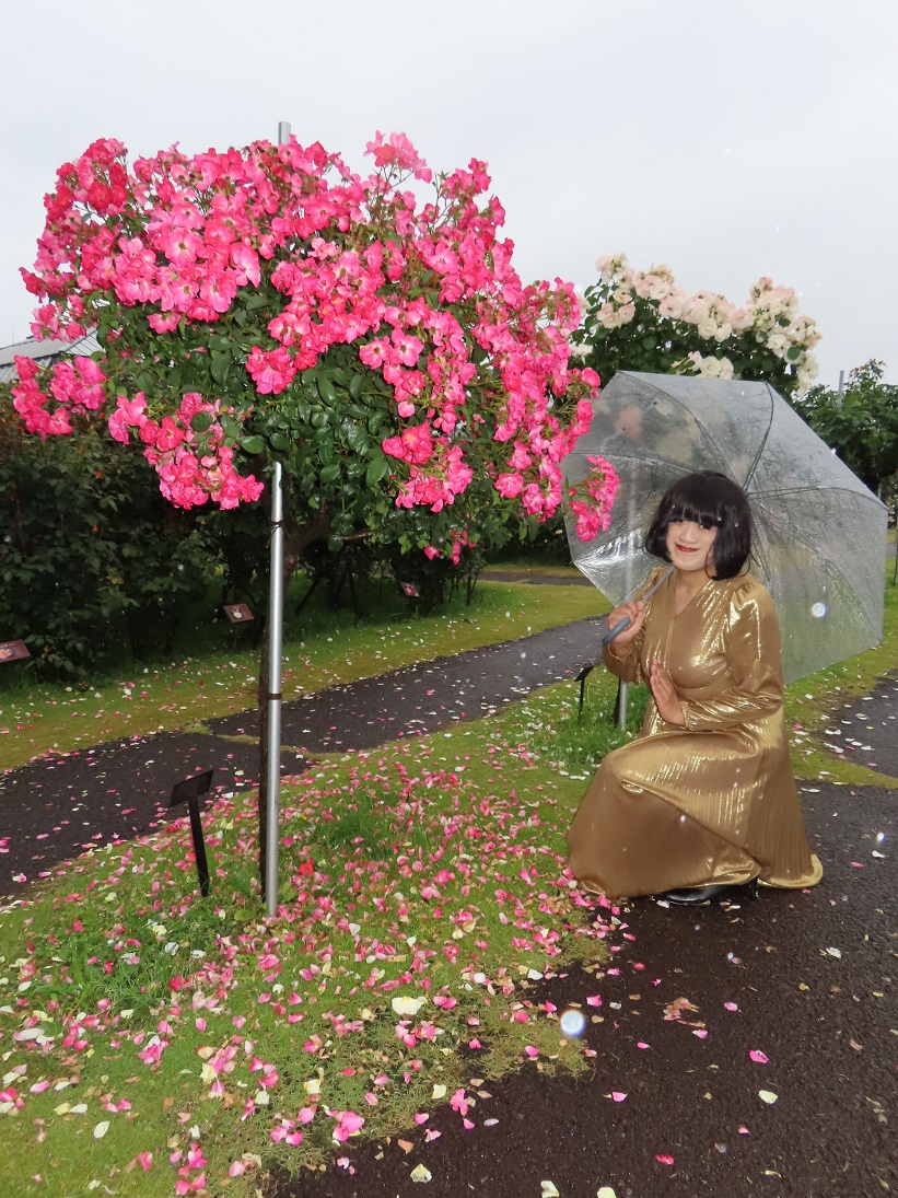 ゆきこさん