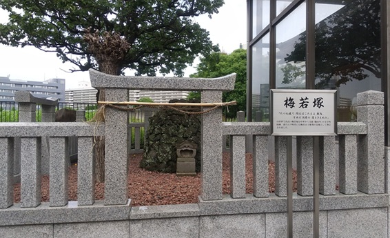 幸子さん