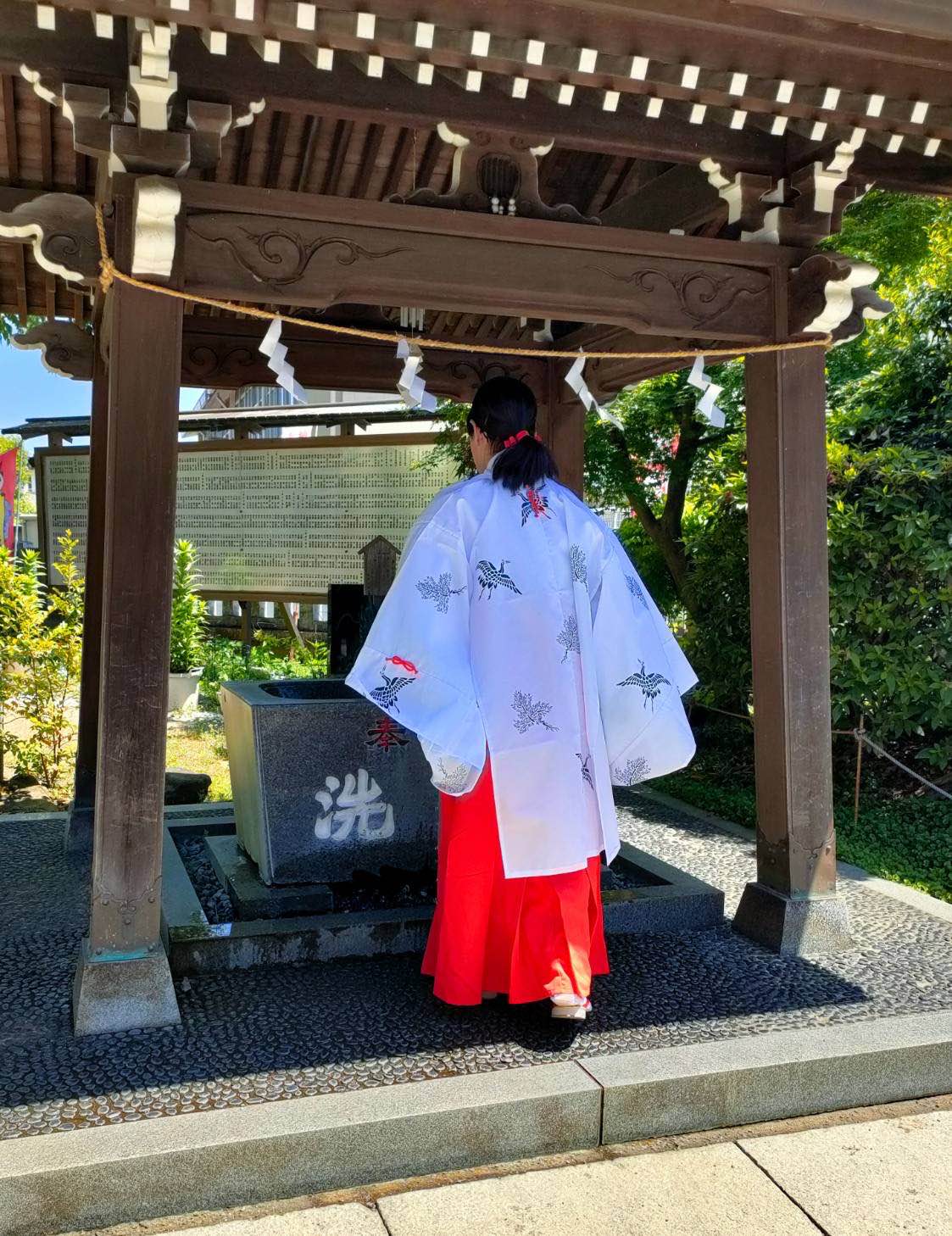 H美さん