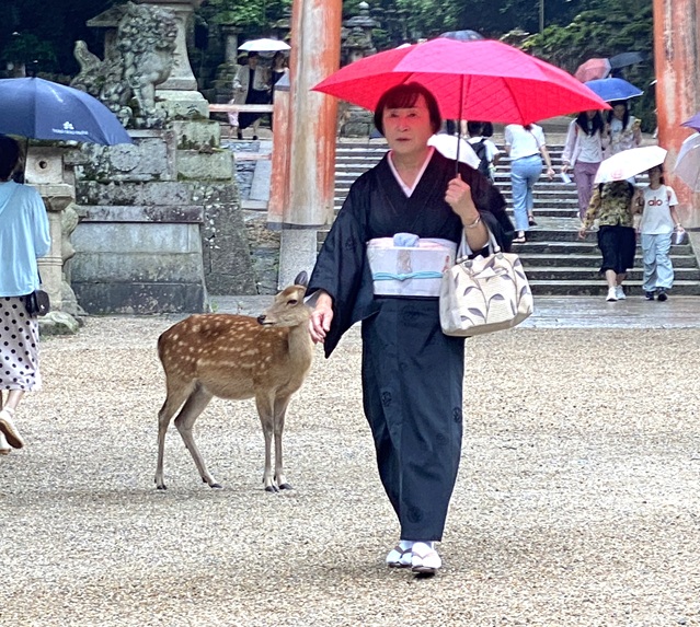 幸子さん