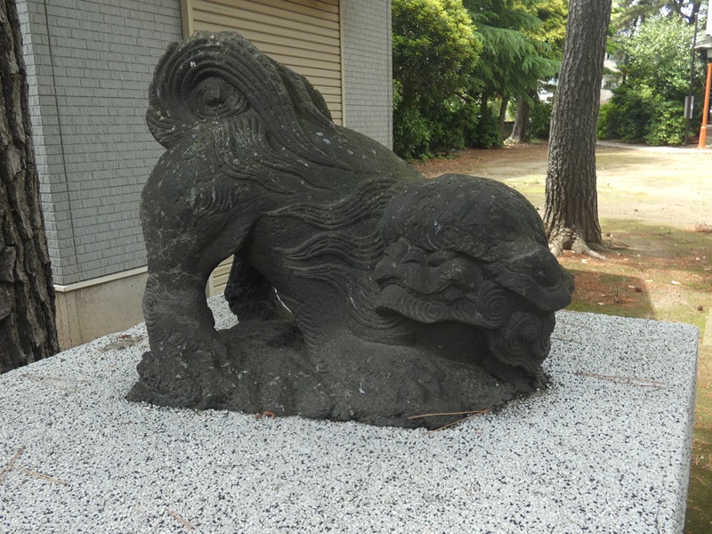 高木飛鳥さん