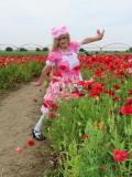 ゆきこさん